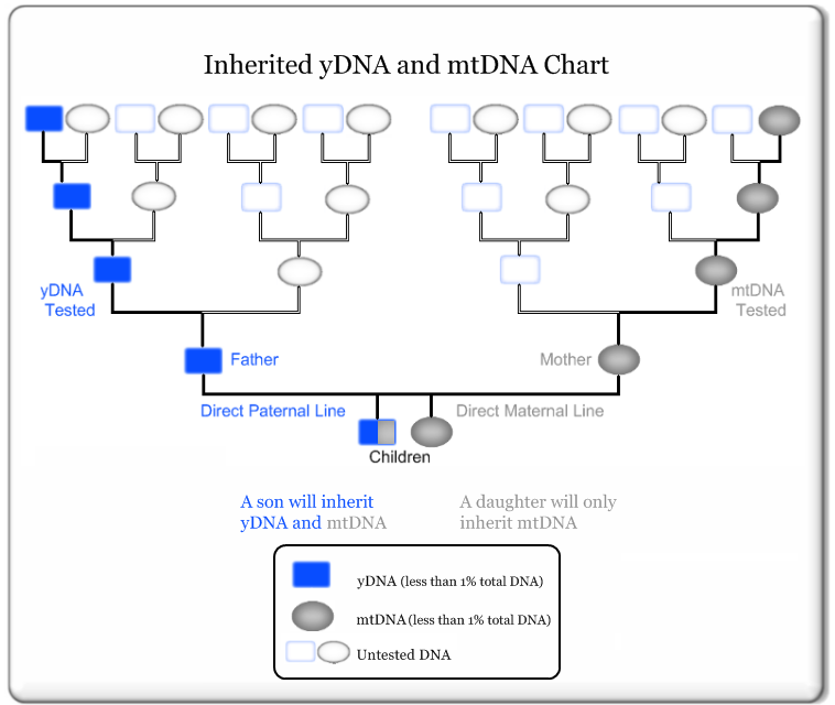 Dna Chart Tableau